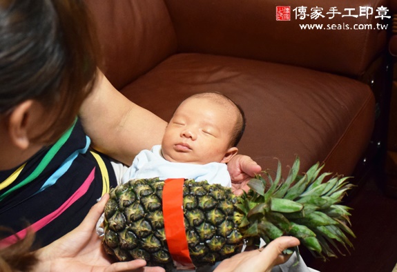 張寶寶(台中太平區到府嬰兒寶寶滿月剃頭理髮、免費到府嬰兒剃胎毛儀式吉祥話)。到府剃頭剃胎毛主持、專業拍照、DVD光碟、證書。★購買「臍帶章、肚臍章、胎毛筆刷印章」贈送：剃頭、收涎、抓周，三選一。2015.11.15 照片13